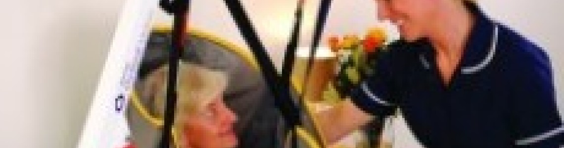 Patient lifts for home use